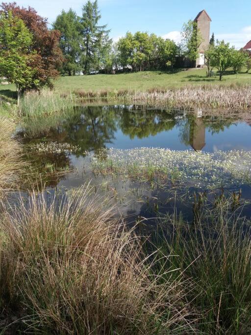 Moderne Wohnung Im Herzen Der Natur - Ingo'S Dream Babelin Zewnętrze zdjęcie